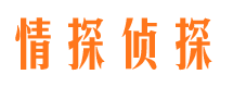 景县市婚外情调查